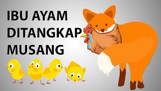 Lagu Kanak-Kanak : Ibu Ayam Ditangkap Musang