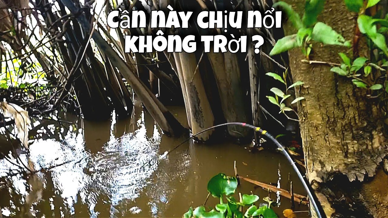 Tập 129 - Câu Cá Sông Trúng Ổ Cá Khủng 2 Con Ăn Cùng Lúc Như Này Mới Đã | Trương Rô Miền Tây