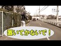 密着！ごみ収集（枚方市）
