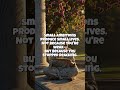 How Big Is Your Vision? | Marcus Aurelius on Ambition &amp; Worth