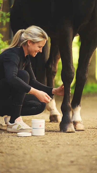DOSKAR 4 EQUI Tonerdepaste