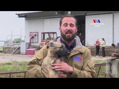 Video: Թերապիայի շներն այցելում են Պարկլենդ հրաձգությունից տուժած ուսանողներին