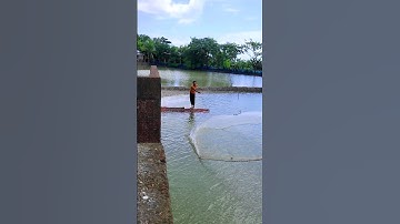 How to Throw Cast Net | Throw Cast Net for Fishing | #shorts #viralshorts