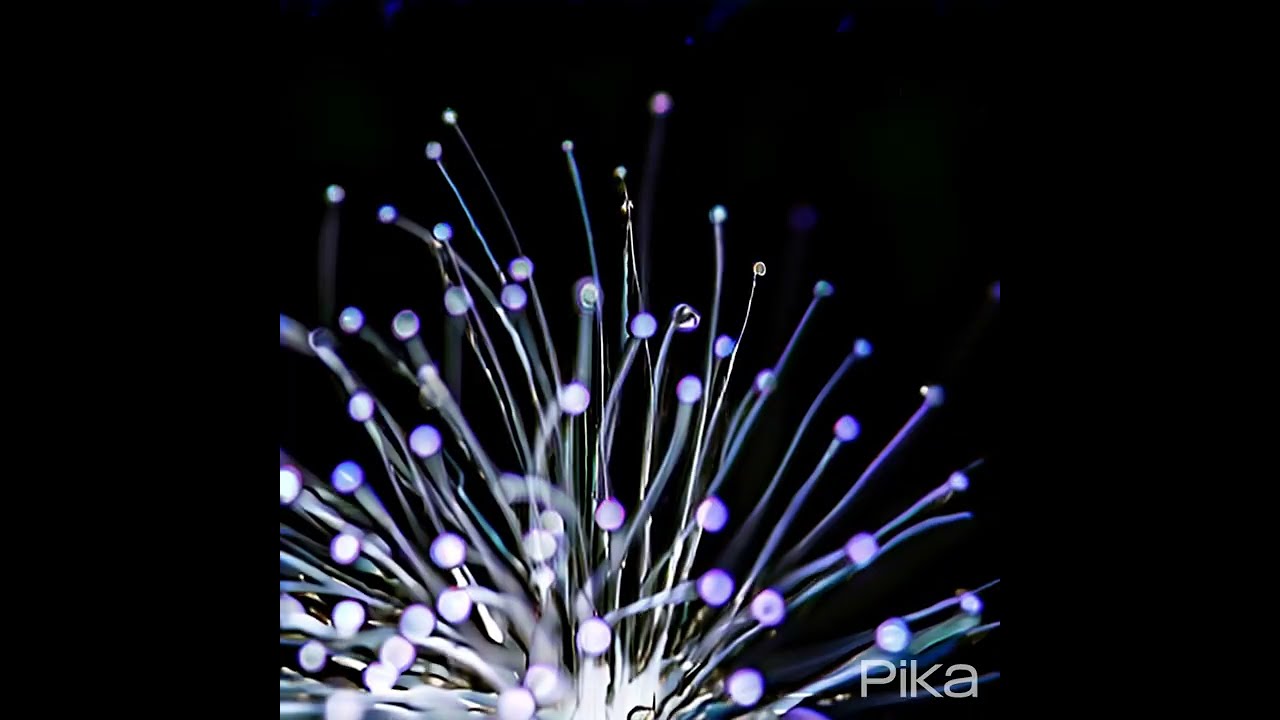 🔬 Scientific Micro Photography Unveiled: A Journey into the Invisible Wonders! 📸🔍