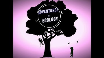 Anabat Scout 1 week review