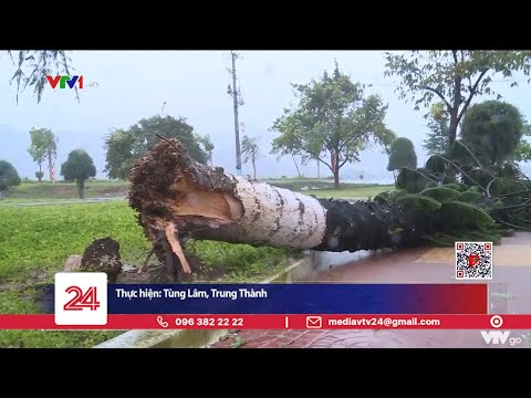 Video: Những thiệt hại do bão gây ra là gì?