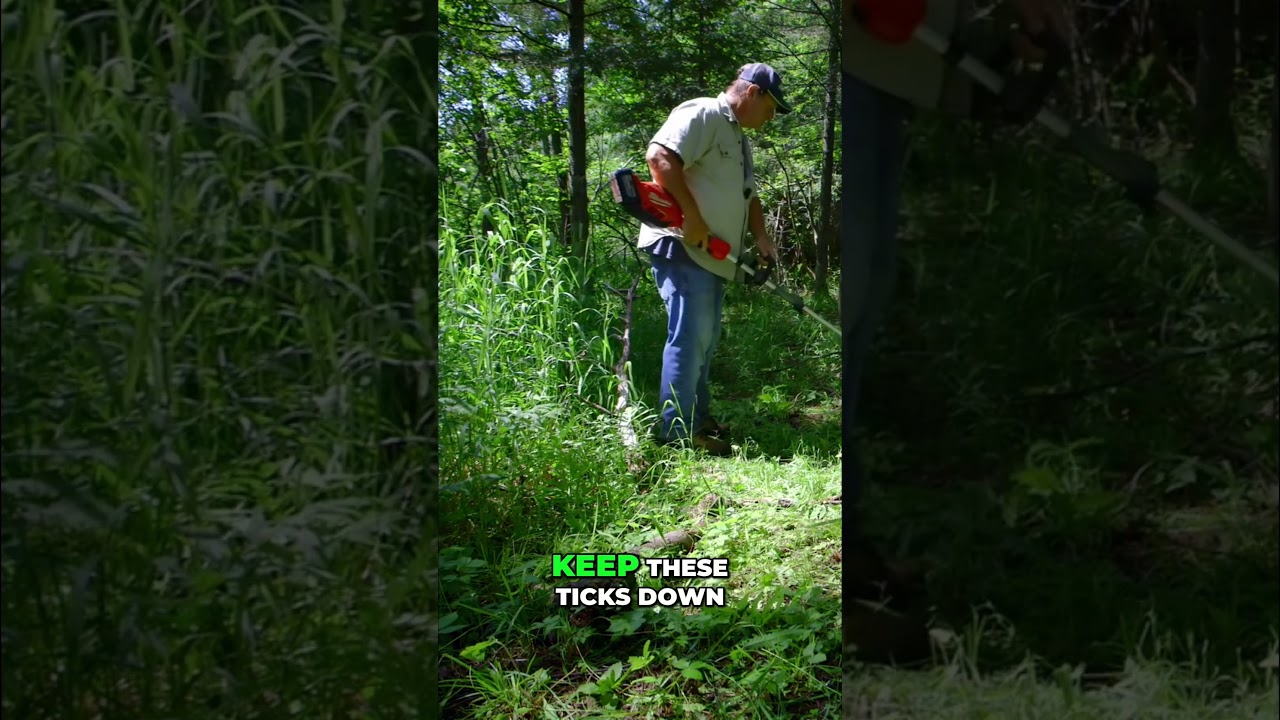 Mow Smarter  Keep Ticks Away Safely! #shorts
