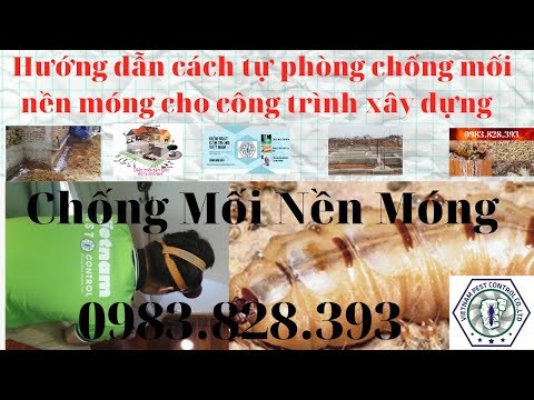 Video [ Hướng dẫn ] Phòng Chống Mối Nền Móng Công Trình Xây... - youtube