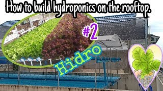 How to build hydroponics on the rooftop.#2