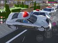 窃盗団の確保で起きたハプニング