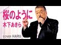 「桜のように」木下あきら cover HARU