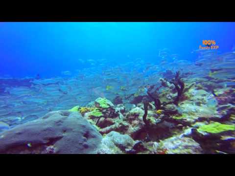 Thomas More Travel Cancun