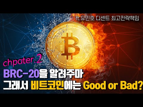   BRC 20 2부 그래서 비트코인에는 Good Or Bad BRC 20의 거의 모든 것