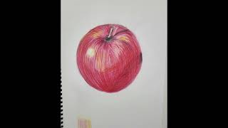 Observational Painting: Inside and Outside of an Apple  #키즈아트 #분당미술학원 #art  #영어미술 #이매동미술 #englishart