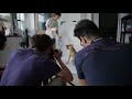Beginning of video