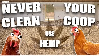 DEEP LITTER METHOD = NEVER CLEAN YOUR COOP 🐔 with HEMP
