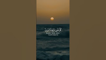 كل نفس ذائقة الموت | تلاوة مؤثرة #قرآن #كل_نفس_ذائقة_الموت