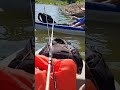 Catching a Huge Blue Catfish Under a Bridge tunnel #creek #fishcatching #arkansasriver