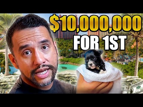 I Played the Biggest Poker Tournament Ever to Save a Puppy Shelter