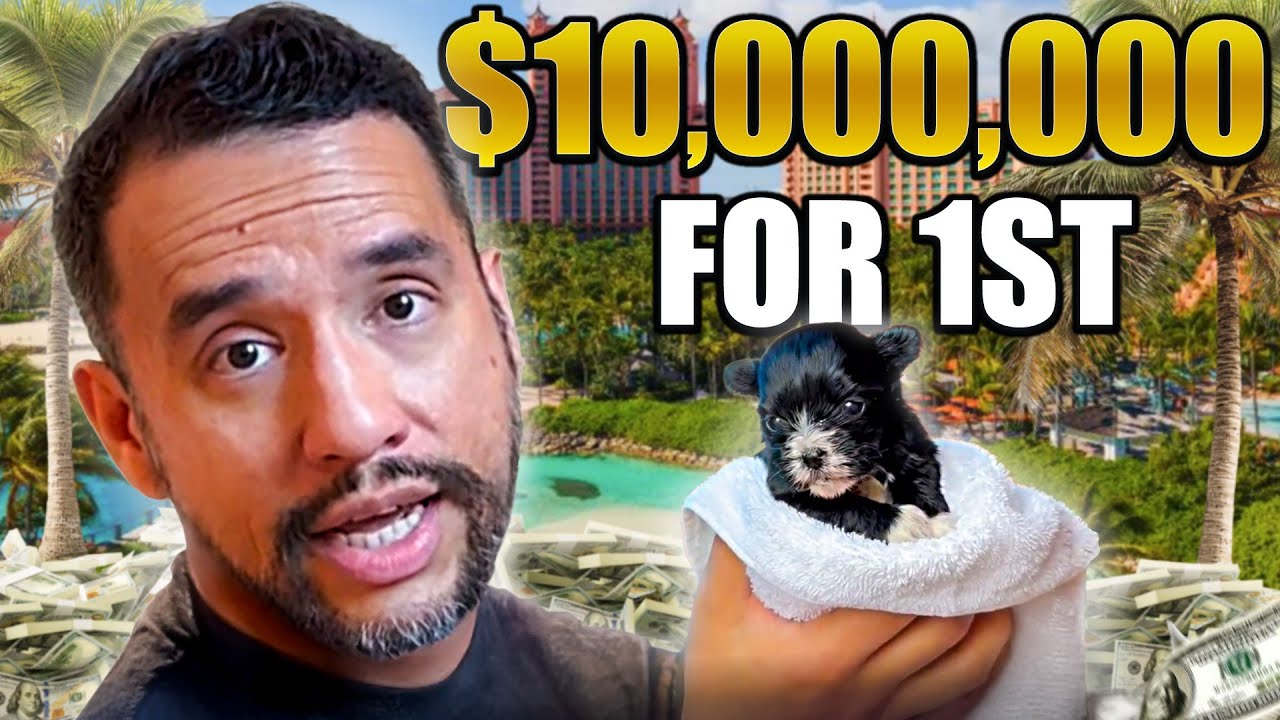 Я участвовал в самом крупном покерном турнире в истории и пытался спасти приют для щенков.