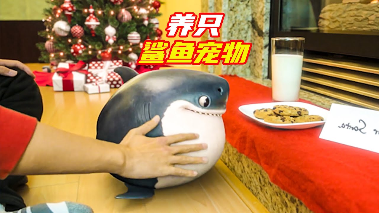 養只鲨魚寶寶，會彈鋼琴還能設計衣服，實在是太可愛了；獵奇，奇幻，鲨魚寶寶，喜劇，解說