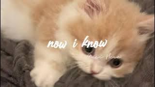 Download lagu now i know - kaleb j || speed up