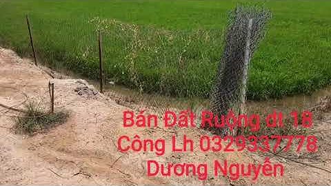 Nhà Đất Bán Đất Ruộng vườn dt 18 Công Giá 170tr Công Tân Thạnh LA