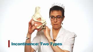 Which Incontinence Type Are You?