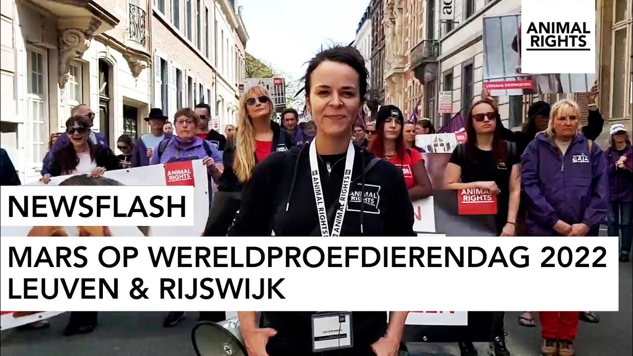 NEWSFLASH | Mars op Wereldproefdierendag 2022 | Animal Rights