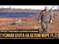 Гусиная охота на Белом море (2 серия) / Про охоту и охотников с Валерием Кузенковым. Сезон 1