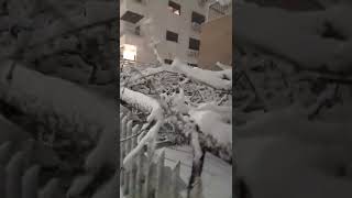 Amman Jordan  Weather  Update // Snowing