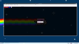 Terminal ..mirroring!? | KDE Plasma 5.4.2