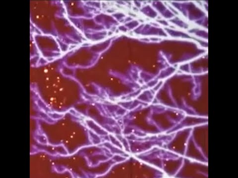 misty [tape] - YouTube