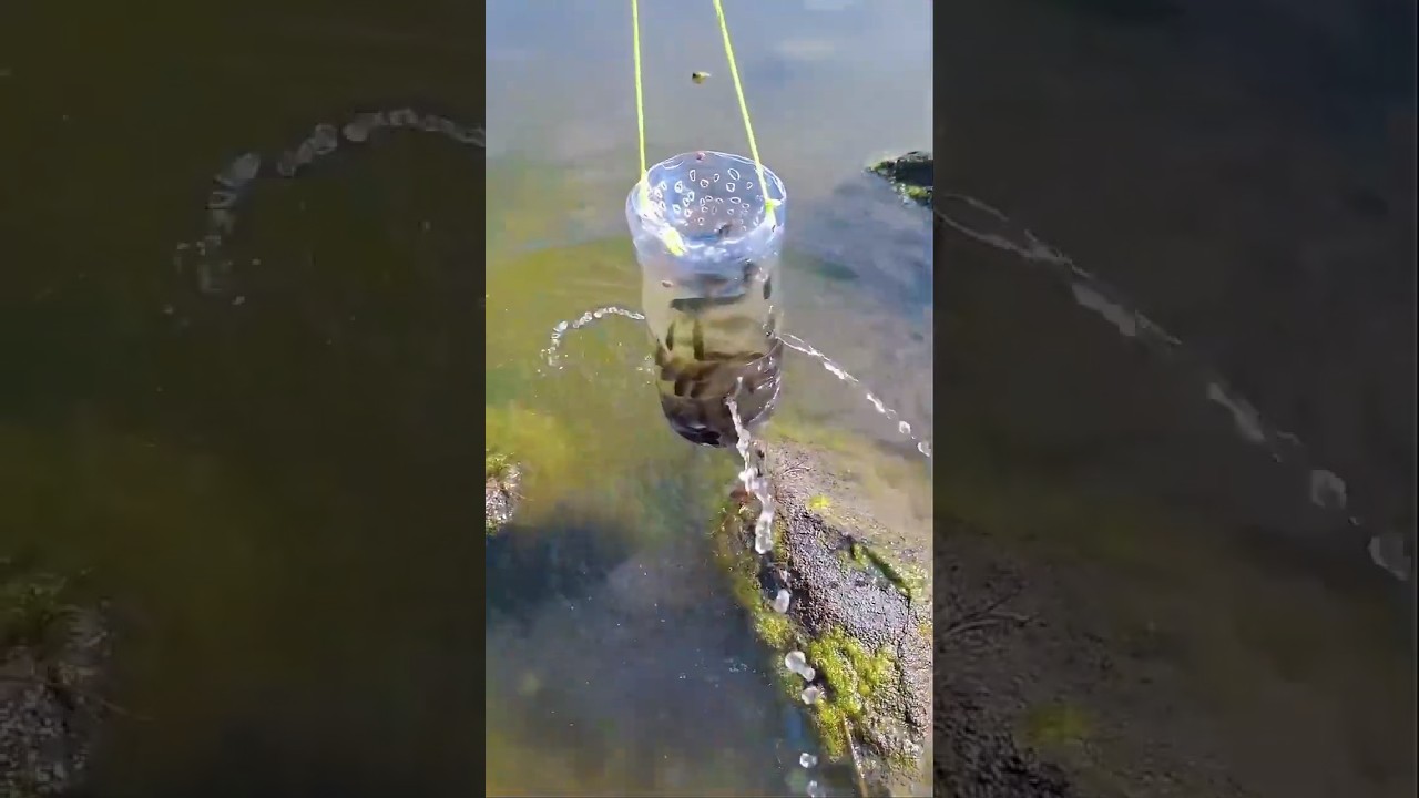 Small fishing techniques || new comedy video || best funny video || bangla comedy ||