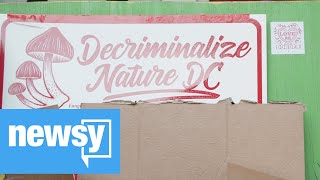 The Push To Decriminalize Psychedelic Drugs