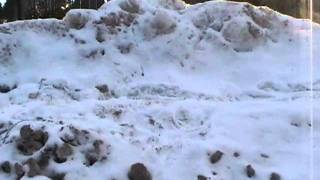 Yeti Attack Yeti Attack
