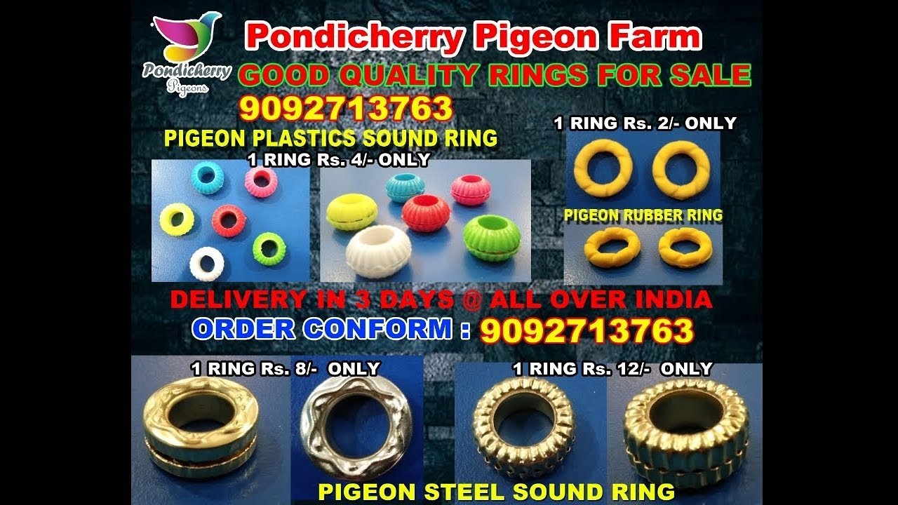 new design open plastic pigeons rings| Alibaba.com