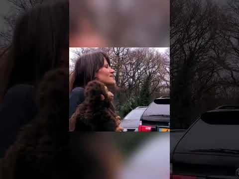 Monkey V Police For live shows visit https://theninaconti.komi.io