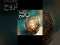 ابعتيها لـ علي ❤️