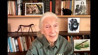 (Social Media) "Every single one of us makes a difference every single day.” Dr Jane Goodall