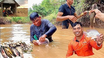  Quăng chài kiếm cá để ăn cơm , ai ngờ trúng toàn cá ngon và cái kết được bữa cơm cá nhớ mãi 🥰