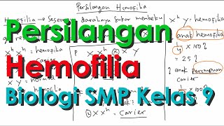 Persilangan terpaut kromosom seks x hemofilia merupakan yang terjadi
dimana ketika seseorang menderita hemofila maka orang tersebut
memiliki dara...