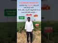 6.5 Acres Agricultural Land For Sale in Attaluru.Per Acrea : 60 Lackhs Only. Cell : 9492642233
