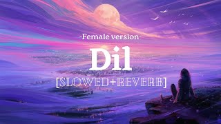Dil - female version [slowed×reverb] | Shreya Ghoshal | SL (song lyrics) |