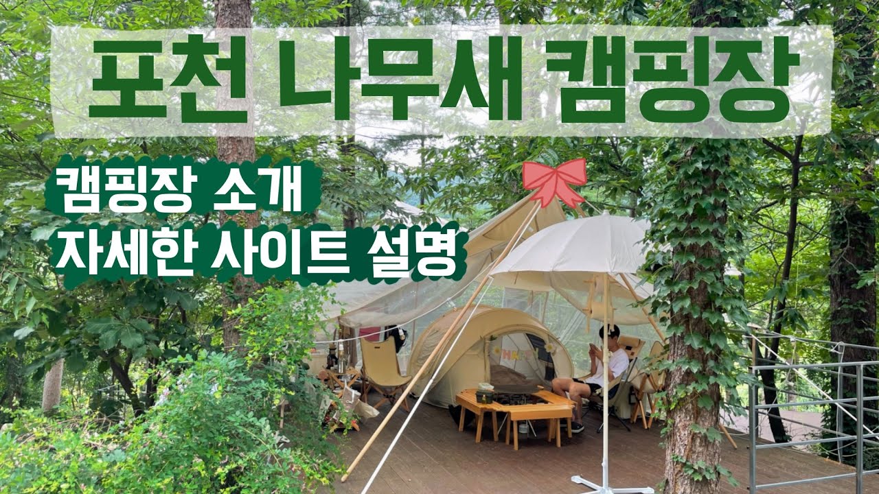 [자세한 사이트소개] 숲속 캠핑장 추천!!ㅣ명당자리ㅣ나무그늘 많은 캠핑장ㅣ나무새캠핑장