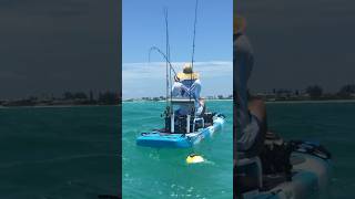 The struggle is reel!! π£ SUP Tarpon Fishing. . #fishing #tarpon #sup #struggle #nature The struggle is reel!! π£ SUP Tarpon Fishing. . #fishing #tarpon #sup #struggle #nature