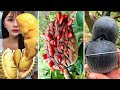 ऐसे फल जिन्हें देखने के लिए नसीब लगता है | Rare &amp; Amazing Fruits In The World.