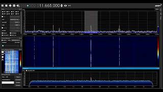 RTM Wai FM 11665 kHz in Moscow screenshot 5