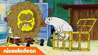 SpongeBob | Hewan Peliharaan Baru SpongeBob!| Nickelodeon Bahasa