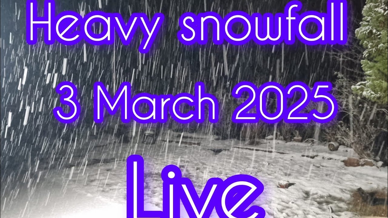 Heavy snowfall || 3March 2025 || live snow - YouTube